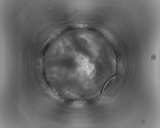 X0000091460373200709061801