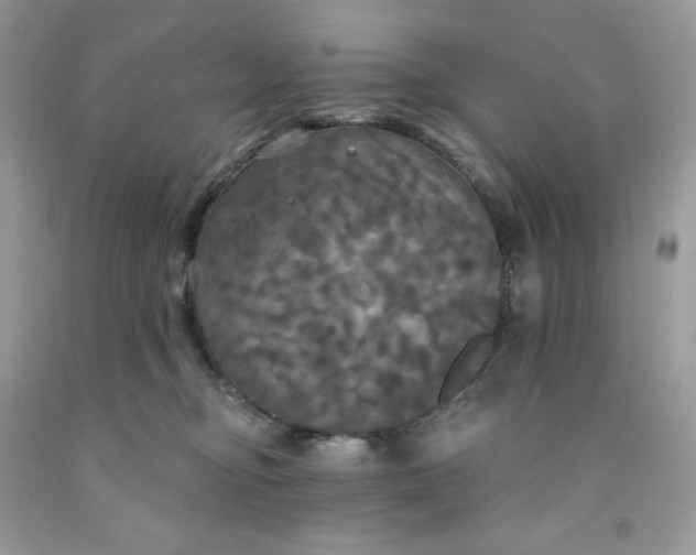 X0000091460374200709061801