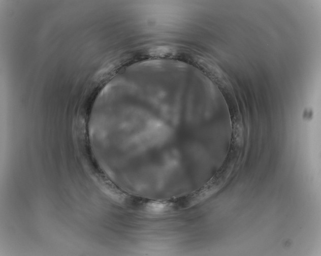 X0000091460375200709061801