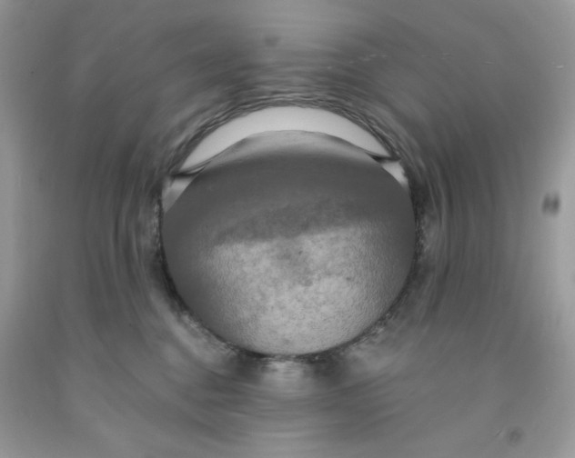 X0000091460376200709061802