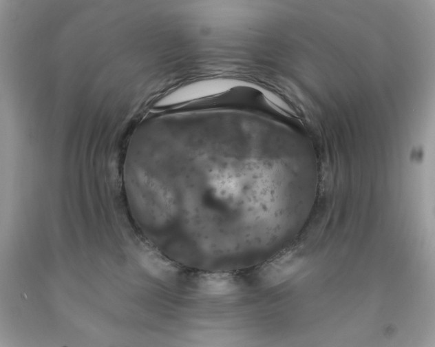 X0000091460377200709061802