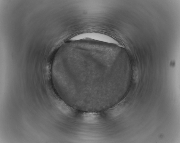 X0000091460378200709061802
