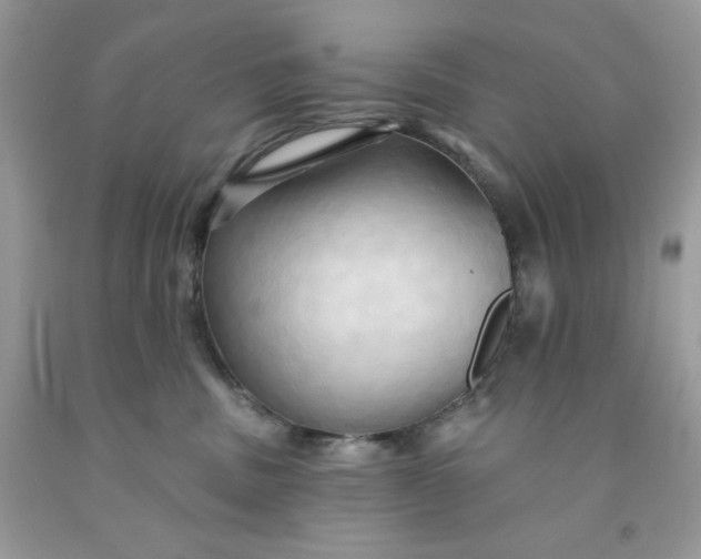 X0000091460379200709061802