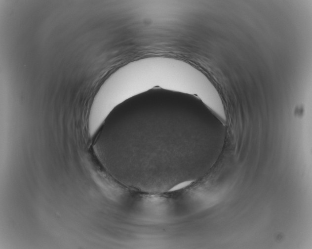 X0000091460380200709061802