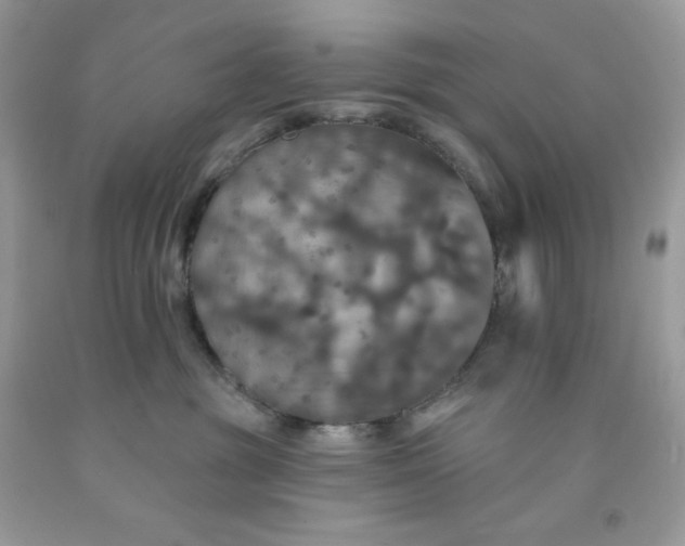 X0000091460381200709061802