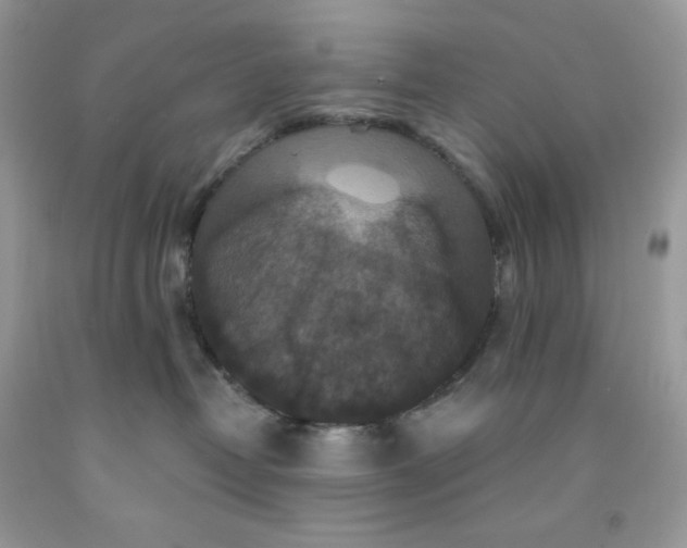 X0000091460382200709061802