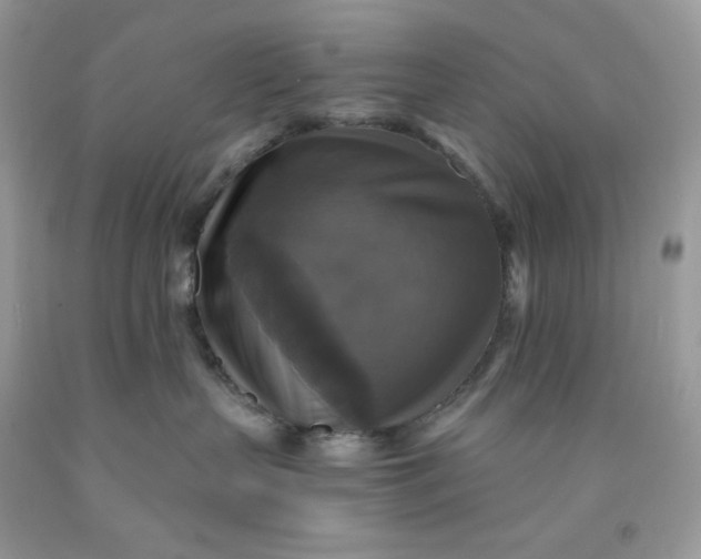 X0000091460383200709061802
