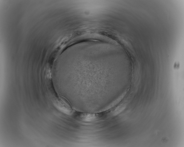 X0000091460384200709061802
