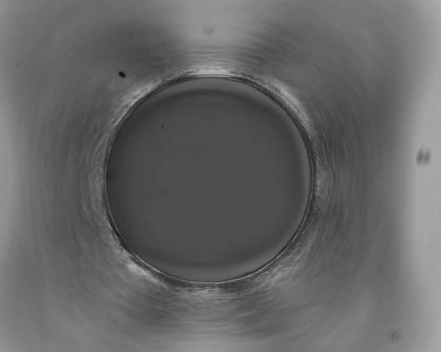 X0000091460385200709061801