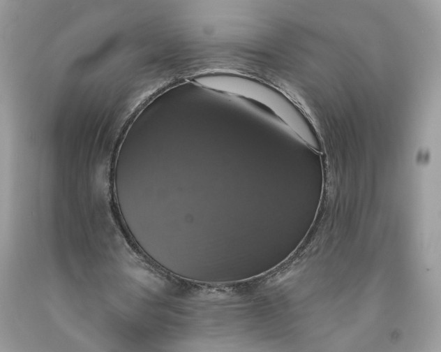 X0000091460386200709061801