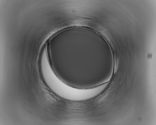 X0000091460387200709061801