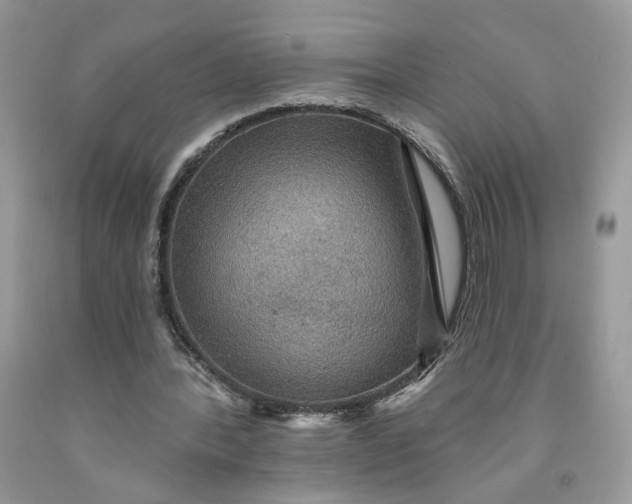 X0000091460388200709061801