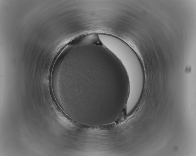 X0000091460389200709061801
