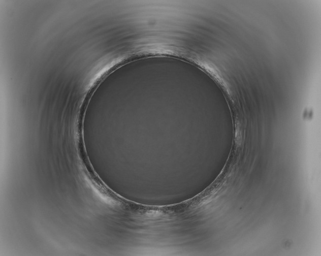 X0000091460390200709061801