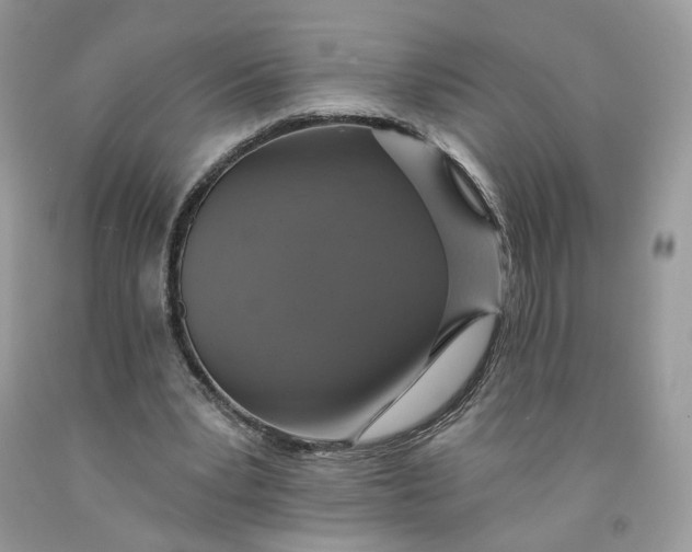 X0000091460391200709061801