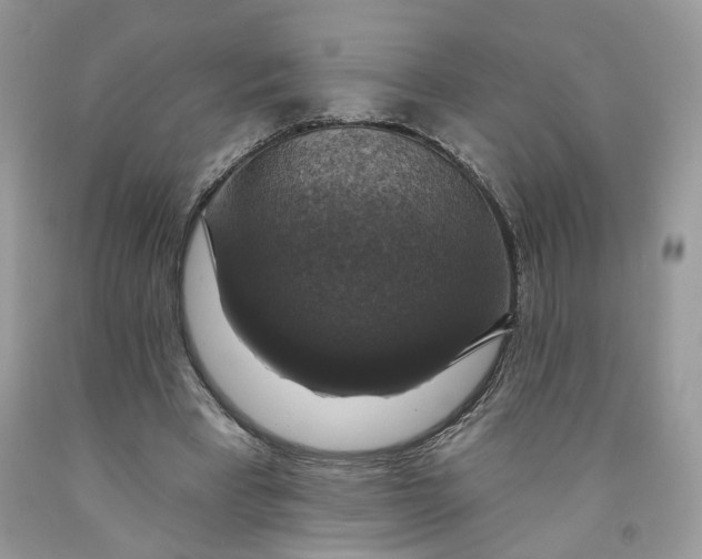 X0000091460393200709061801