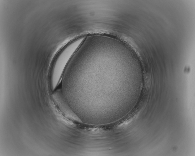 X0000091460395200709061801