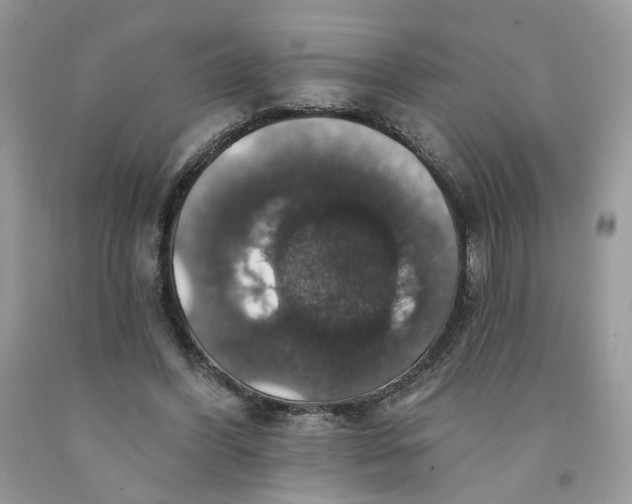 X0000091460396200709061801