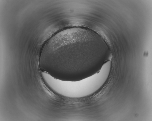 X0000091460397200709061801