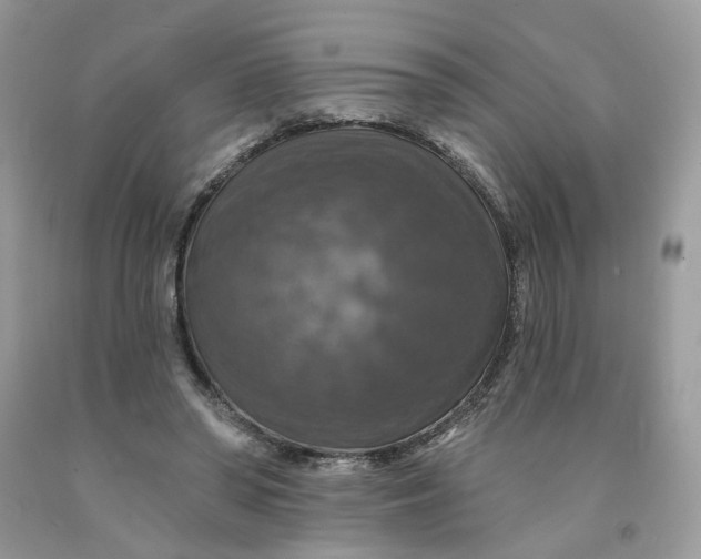 X0000091460398200709061801