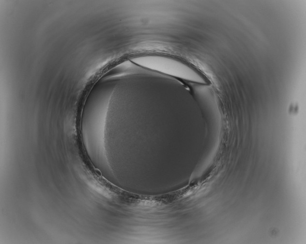 X0000091460399200709061801