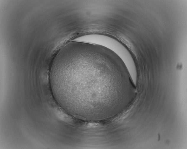 X0000091460401200709061801