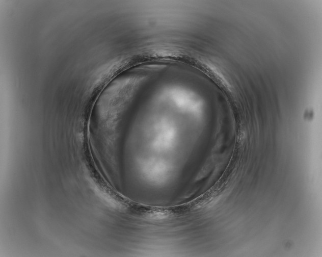 X0000091460402200709061801