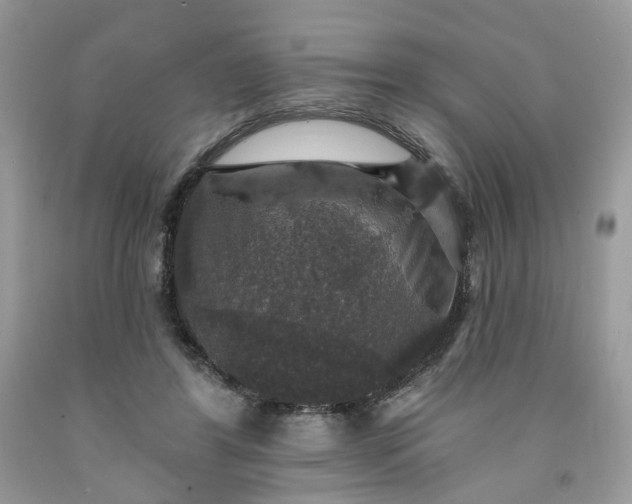 X0000091460404200709061800