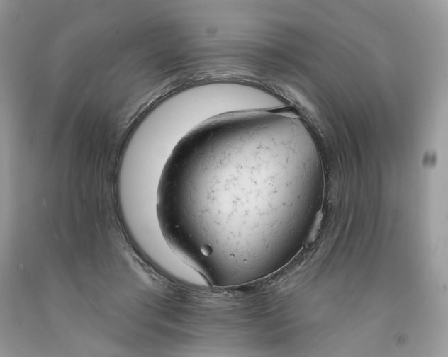 X0000091460405200709061800