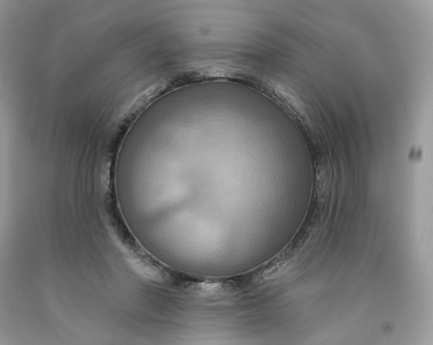 X0000091460406200709061800