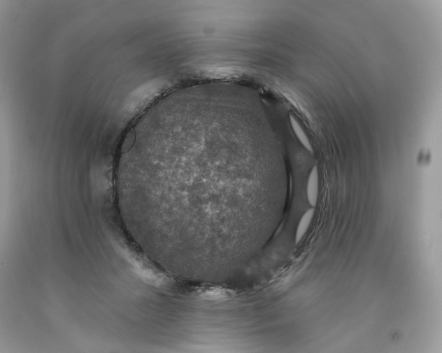 X0000091460407200709061800