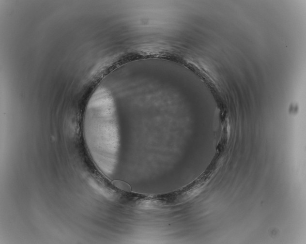 X0000091460408200709061800