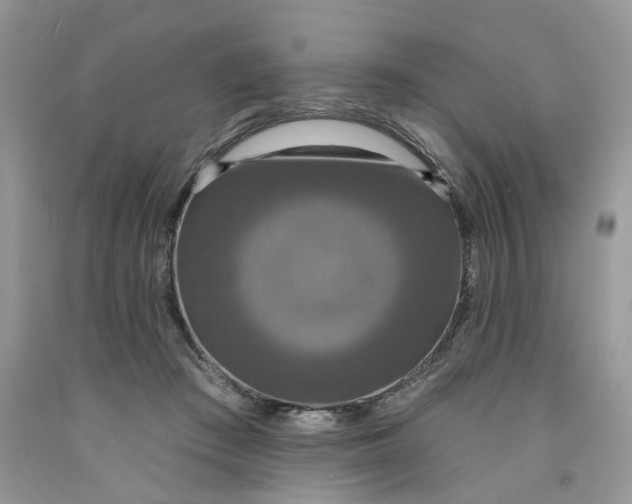 X0000091460409200709061800