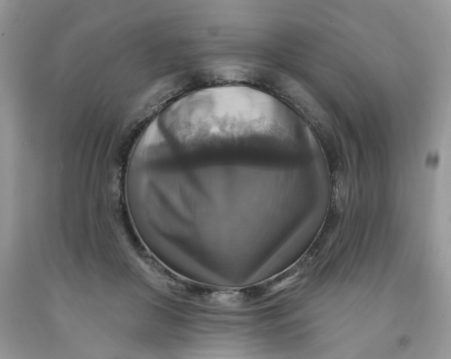 X0000091460410200709061800