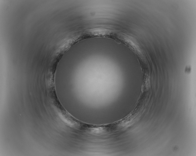 X0000091460411200709061800