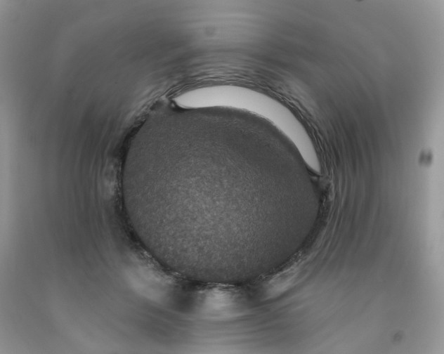 X0000091460412200709061800