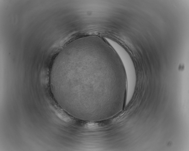 X0000091460413200709061800