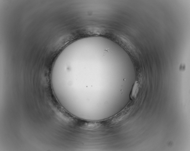 X0000091460414200709061800
