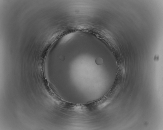 X0000091460415200709061800