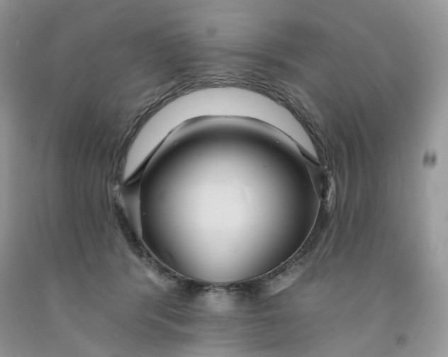 X0000091460416200709061800