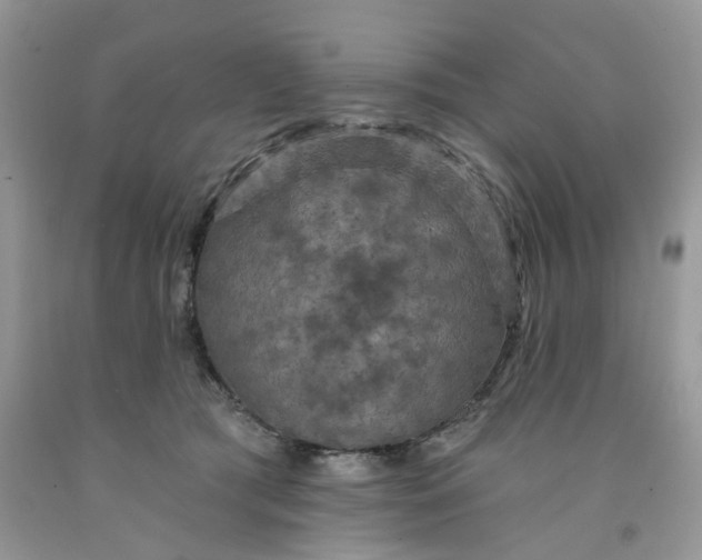 X0000091460417200709061800