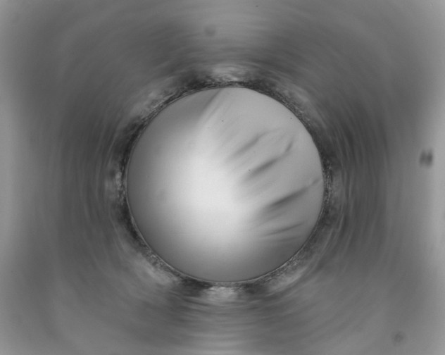 X0000091460418200709061800
