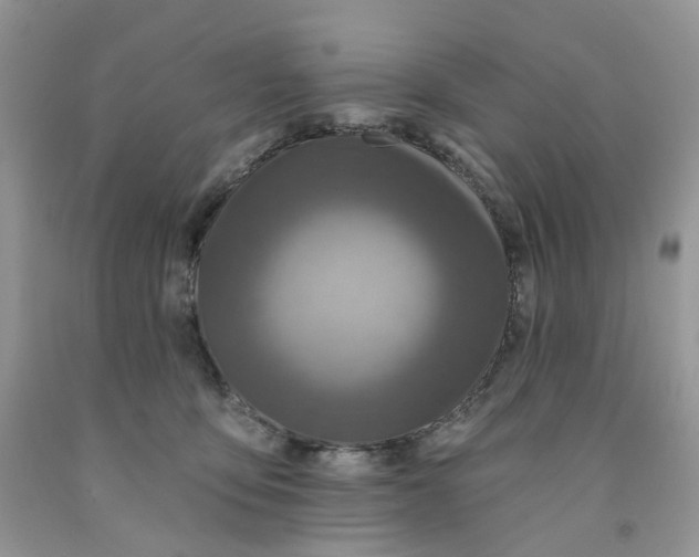 X0000091460419200709061800