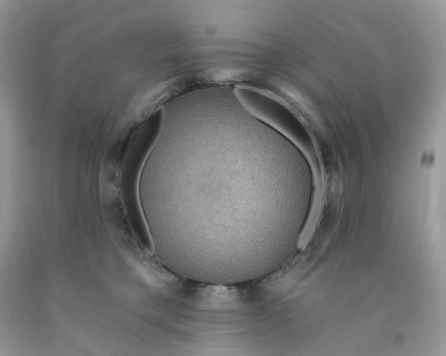 X0000091460421200709061800