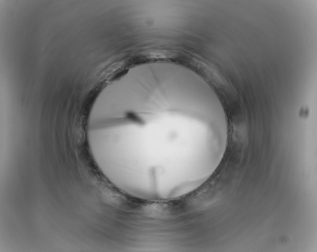 X0000091460422200709061800