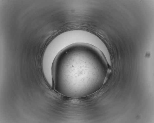 X0000091460423200709061800