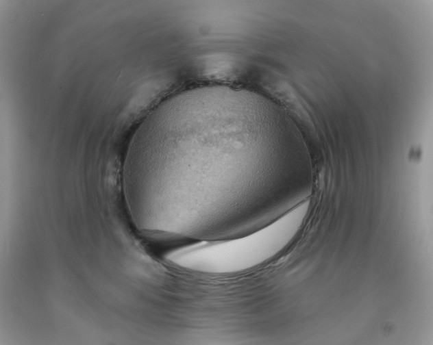 X0000091460424200709061800