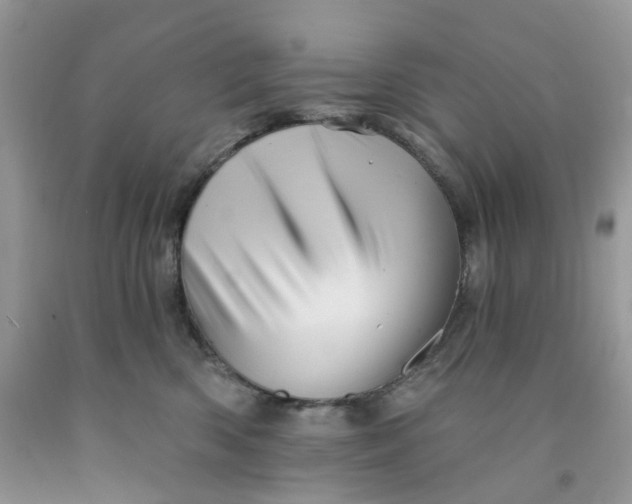 X0000091460426200709061800