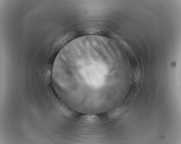 X0000091460427200709061800