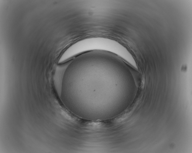 X0000091460428200709061800